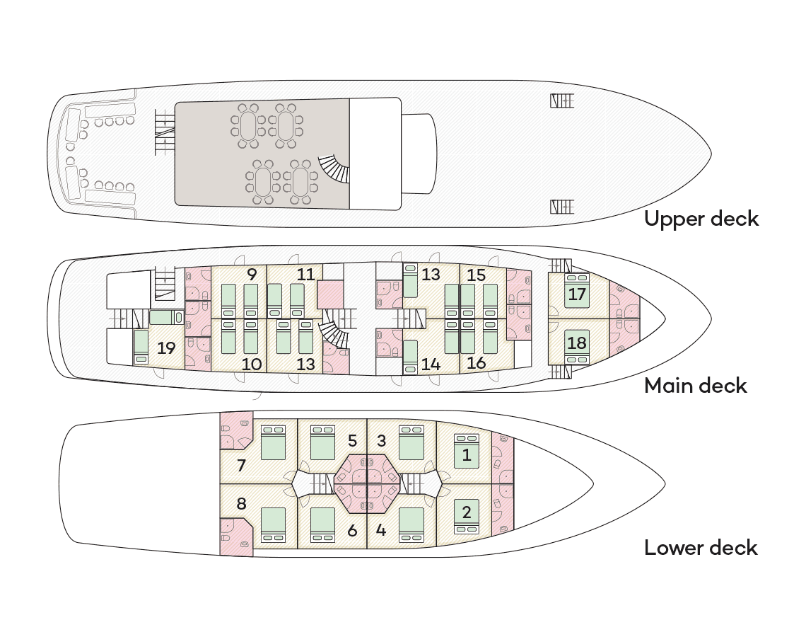 MV Amorena deck plan